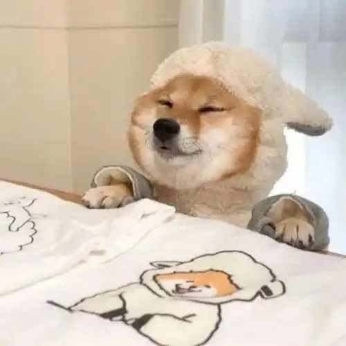 头像精选好看的小众微信头像

