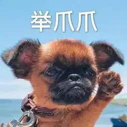 呆萌可爱的小动物表情包小兔几什么也不机到
