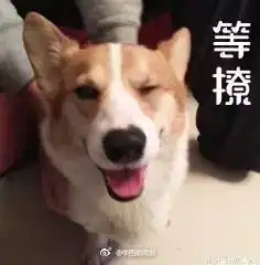 喂,妖妖灵吗这里有人虐狗
