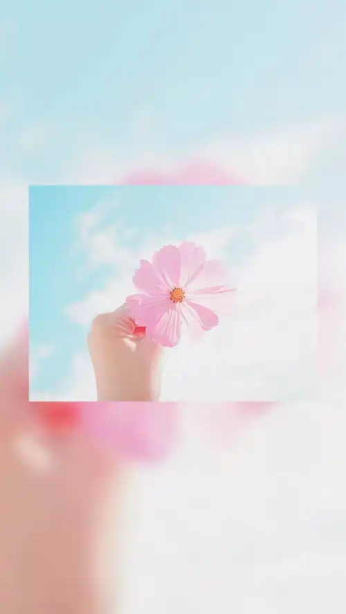 小清新高清iphone手机壁纸
