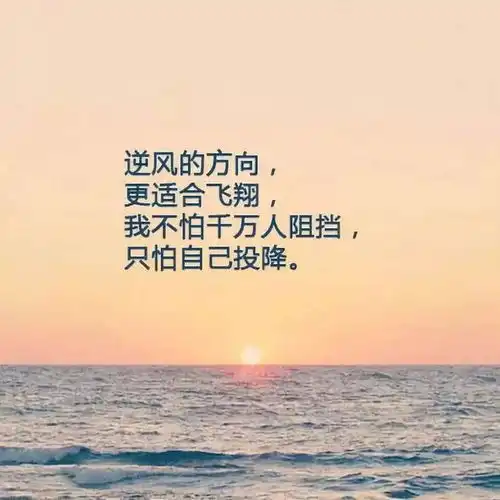 致自己的20句人生感悟,句句都是人生忠告精辟
