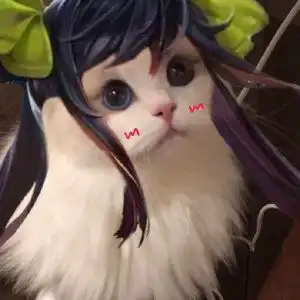 王者荣耀猫咪射手头像王者荣耀猫咪射手接头大全快吧手游
