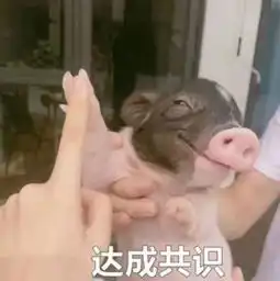 8种单身狗的方式过情人节,隔壁的小情侣都羡慕哭了
