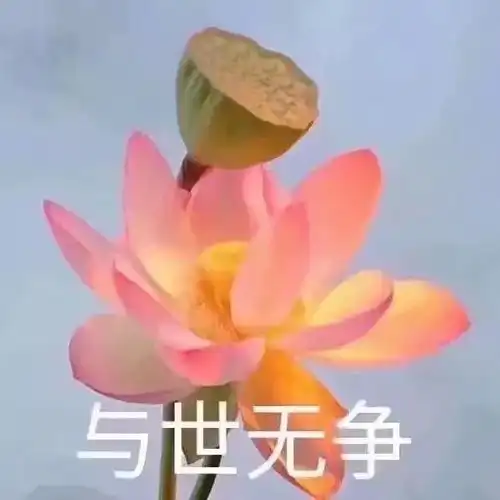佛系用日语怎么说
