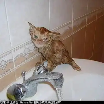 我的收藏
