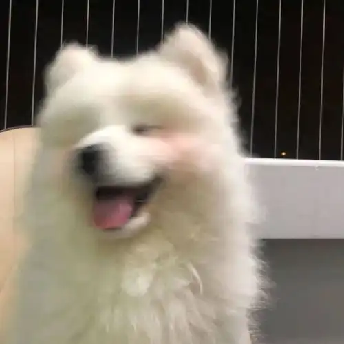 激动国庆假期这么多部电影能看哪一部是你的首选

