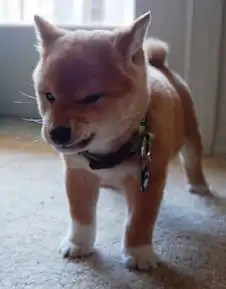 跪求一只小狗头像
