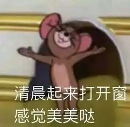 这是最全的猫和老鼠表情包快来抱走吧
