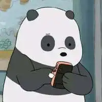 微信头像熊微信头像图片大全
