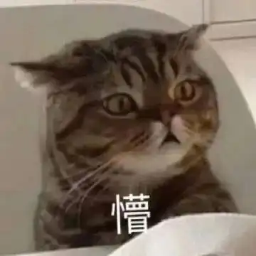 轻松一刻猫南北的情侣名是什么
